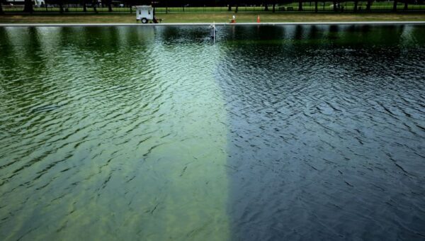 特朗普声称Reflecting Pool遭到破坏，并表示执法部门正在调查- CNN
